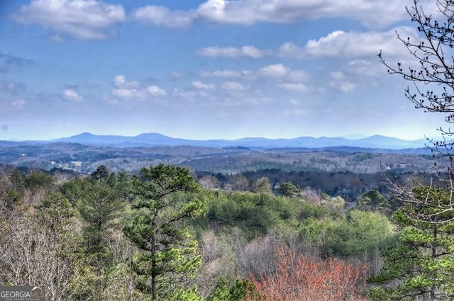222 Mountain Hideaway Lane, Blue Ridge, GA 30513