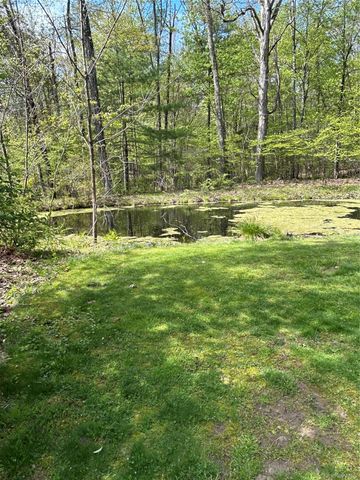 22 Pine Castle Drive, Kerhonkson, NY 12446