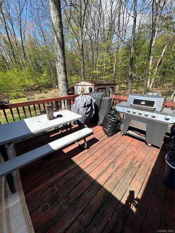 22 Pine Castle Drive, Kerhonkson, NY 12446
