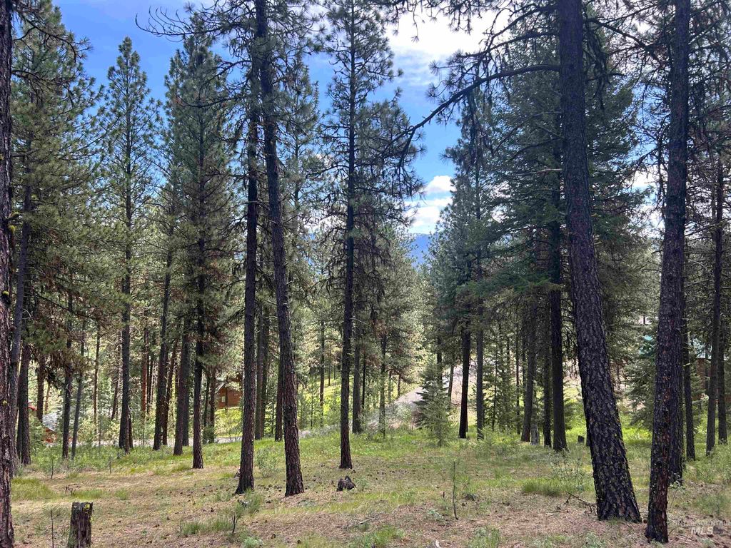 Syringa Drive, New Meadows, ID 83654