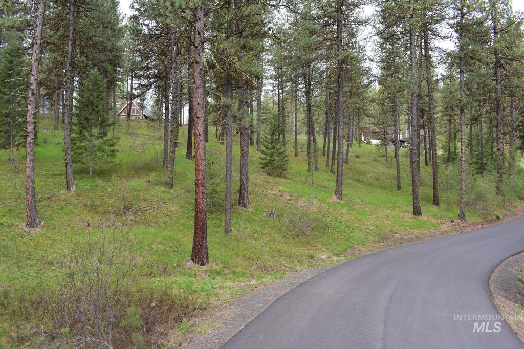 Syringa Drive, New Meadows, ID 83654 photo 2