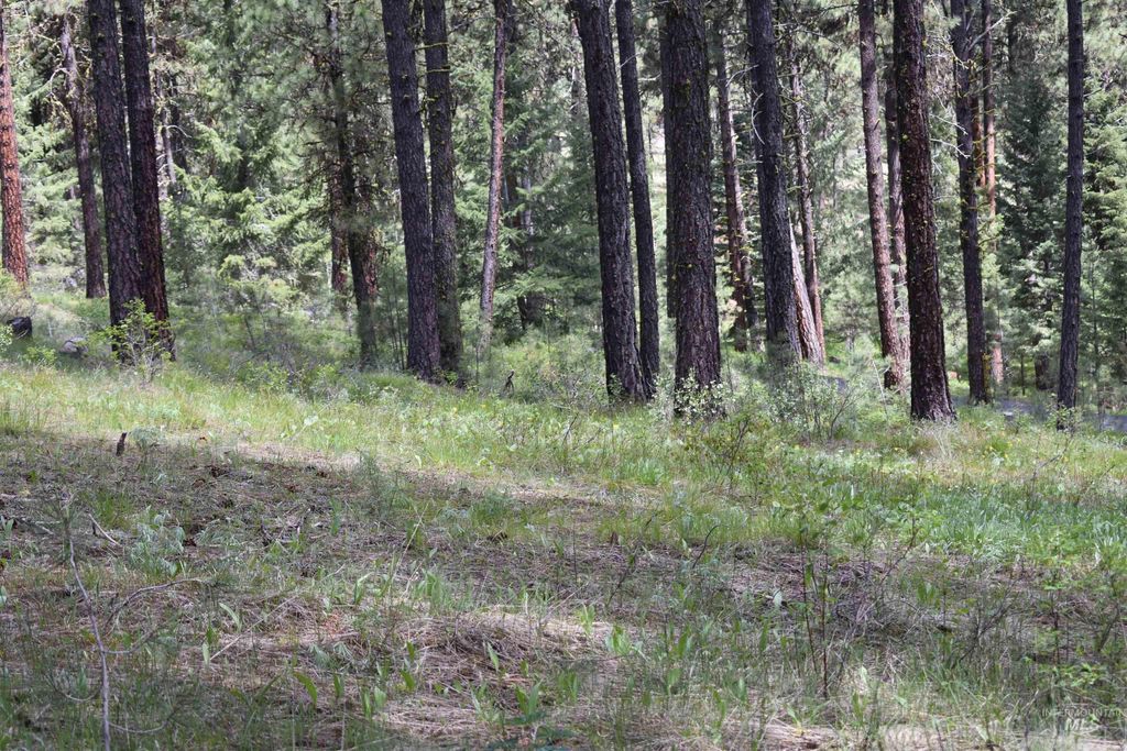 Syringa Drive, New Meadows, ID 83654 photo 5