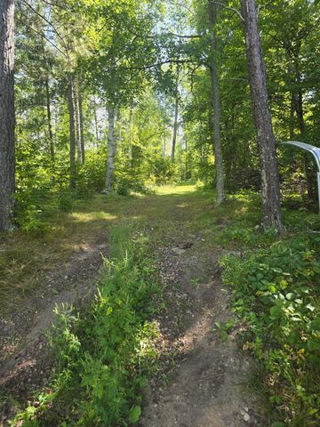 38509 Pickerel Trail, Crosslake, MN 56442