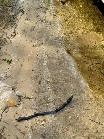 38509 Pickerel Trail, Crosslake, MN 56442