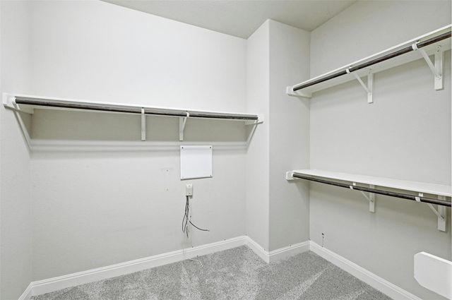 104 Turvey CV, Hutto, TX 78634