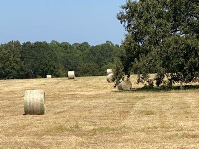 2141 Rs County Road 2250, Alba, TX 75410