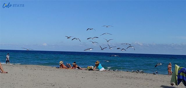 777 N Ocean Drive N533, Hollywood, FL 33019