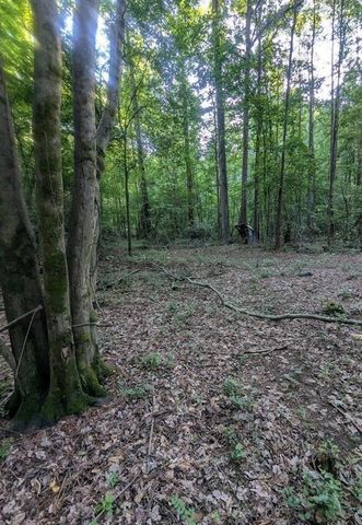 2773 River Road, Ellenwood, GA 30294