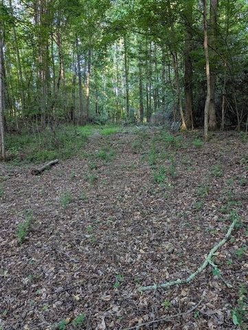 2773 River Road, Ellenwood, GA 30294