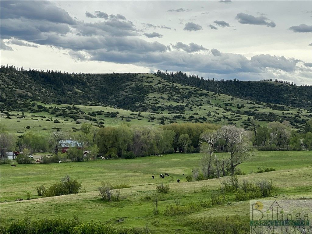 126 Upper Deer Creek, Big Timber, MT 59011 photo 10