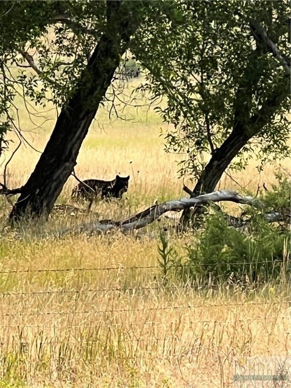 126 Upper Deer Creek, Big Timber, MT 59011 photo 13