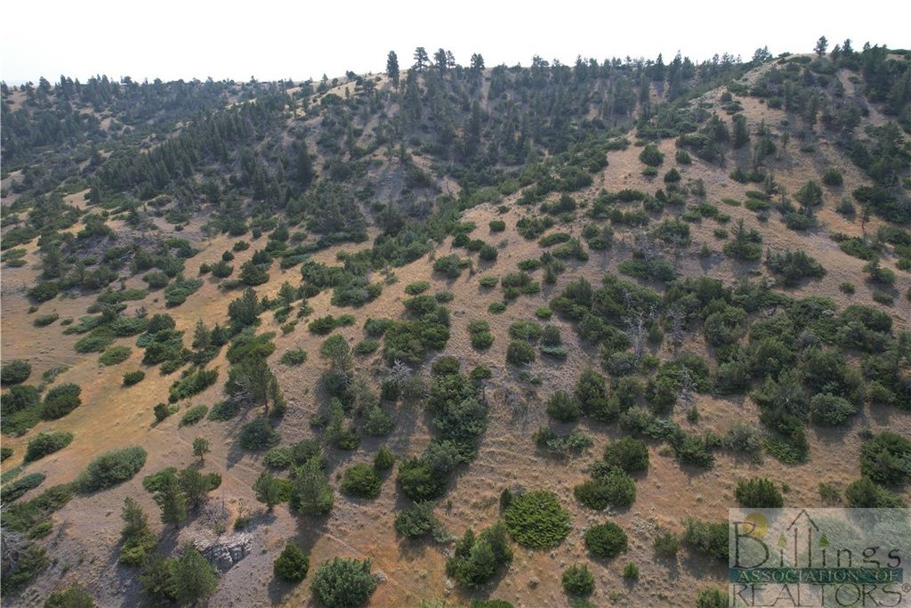 126 Upper Deer Creek, Big Timber, MT 59011 photo 30