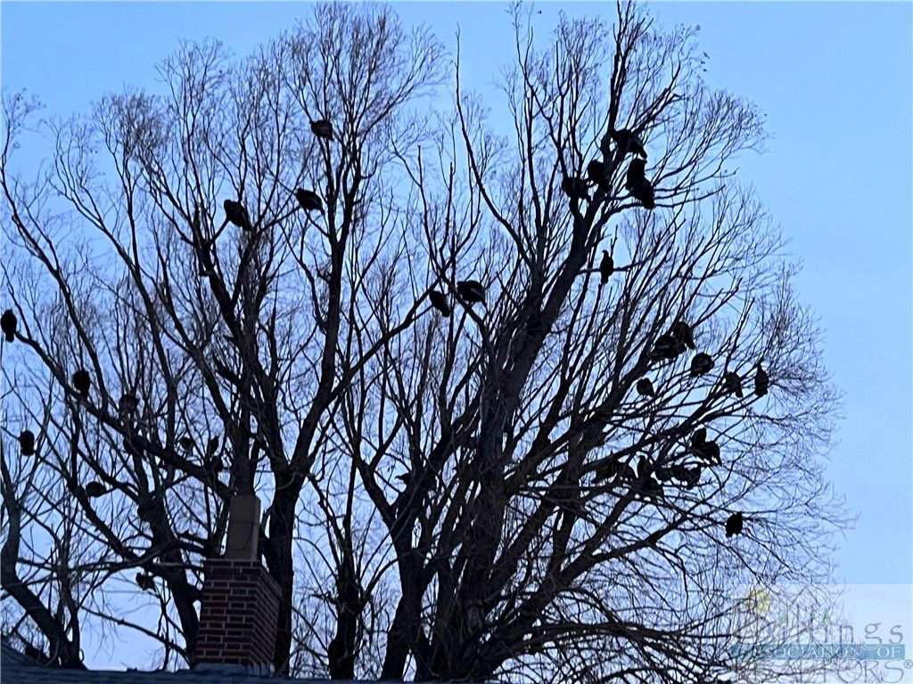 126 Upper Deer Creek, Big Timber, MT 59011 photo 36