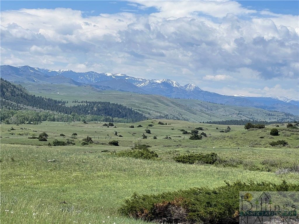 126 Upper Deer Creek, Big Timber, MT 59011 photo 7