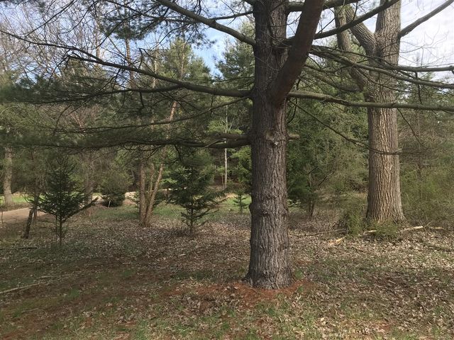 Lot 2 Creekwood Drive, South Haven, MI 49090