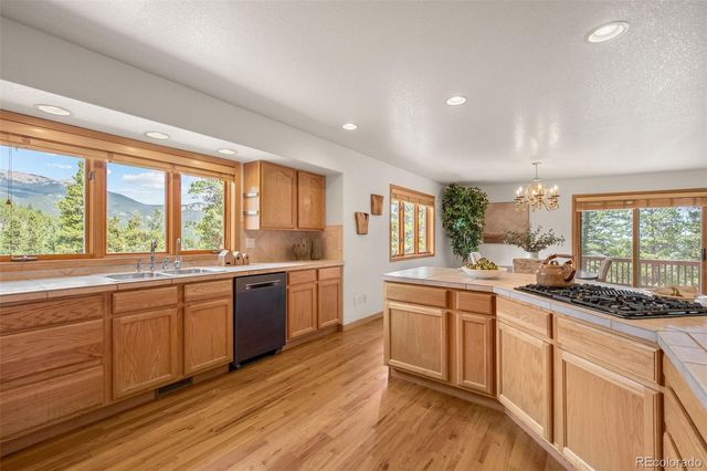 1363 Royal Ridge Drive, Bailey, CO 80421