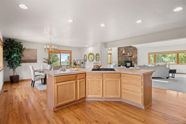 1363 Royal Ridge Drive, Bailey, CO 80421