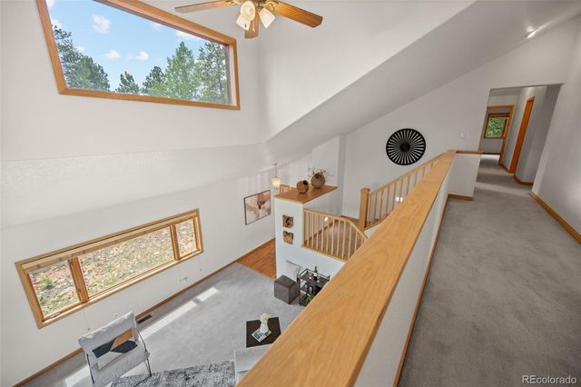 1363 Royal Ridge Drive, Bailey, CO 80421