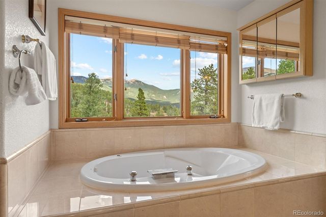 1363 Royal Ridge Drive, Bailey, CO 80421