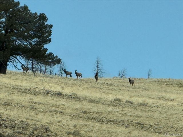 Lot 2415 Petito Drive, Fort Garland, CO 81133