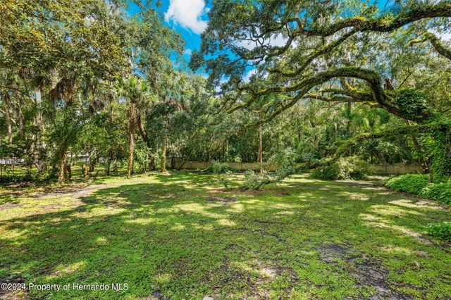 321 Brooksville Avenue, Brooksville, FL 34601