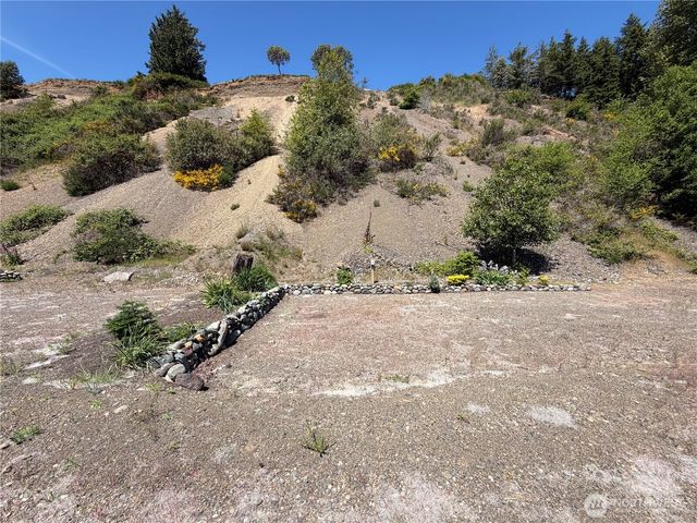 1 X Buena Vista Way, Brinnon, WA 98320