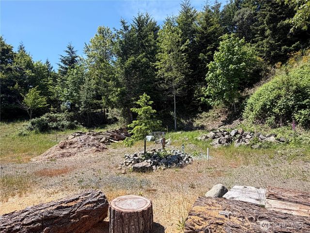 1 X Buena Vista Way, Brinnon, WA 98320