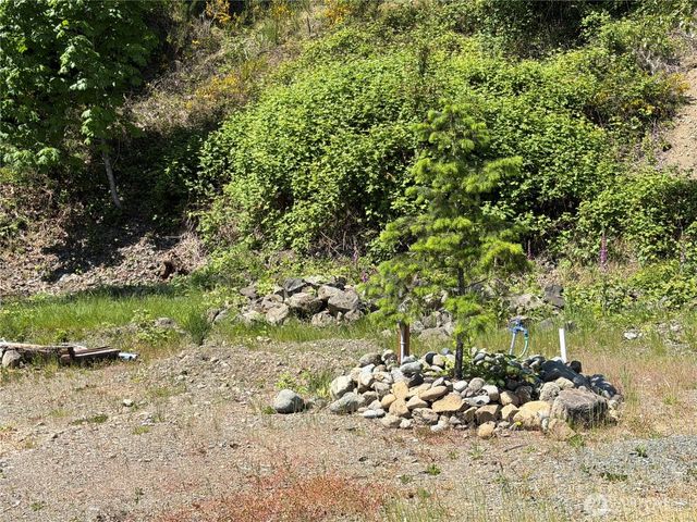 1 X Buena Vista Way, Brinnon, WA 98320