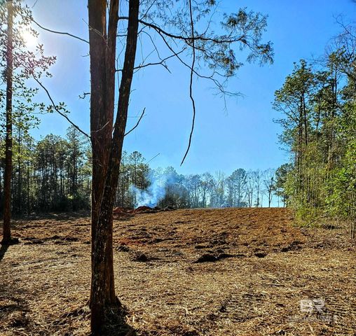 11040 County Road 138, Bay Minette, AL 36507