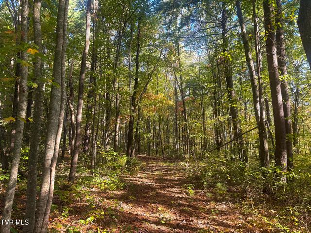 Tbd Grave Hill Rd E, Oneida, TN 37841