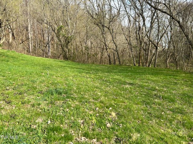 702 Speedwell Road, Bulls Gap, TN 37711