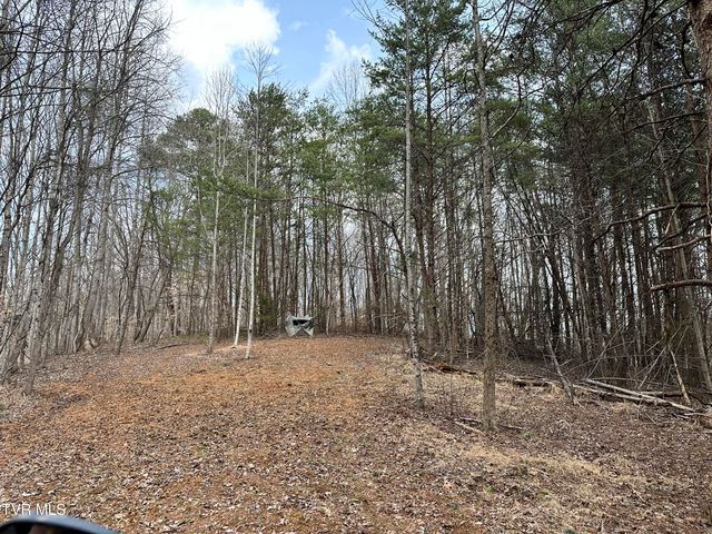 702 Speedwell Road, Bulls Gap, TN 37711