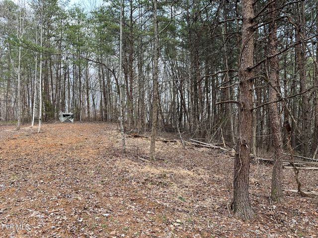 702 Speedwell Road, Bulls Gap, TN 37711