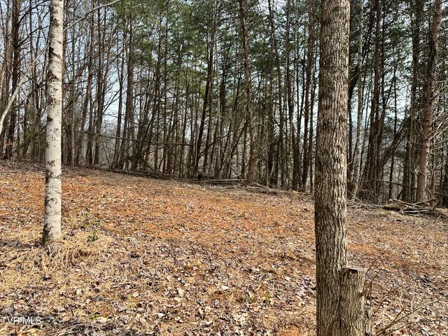 702 Speedwell Road, Bulls Gap, TN 37711