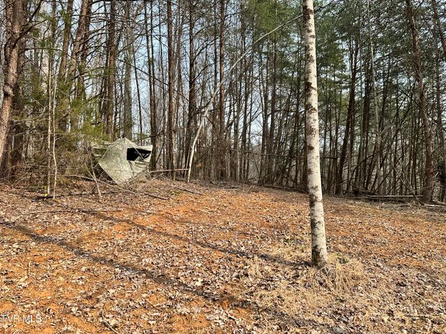 702 Speedwell Road, Bulls Gap, TN 37711