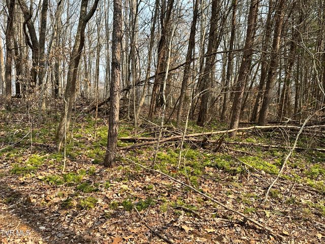 702 Speedwell Road, Bulls Gap, TN 37711