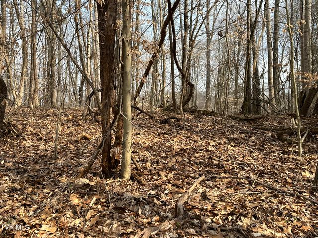 702 Speedwell Road, Bulls Gap, TN 37711