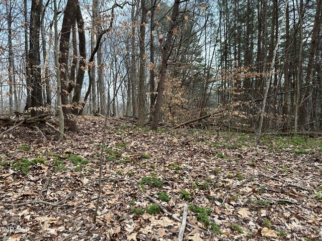 702 Speedwell Road, Bulls Gap, TN 37711