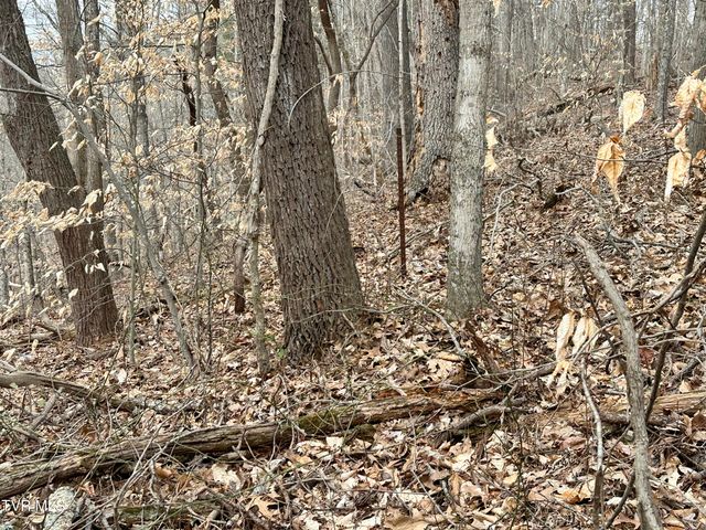 702 Speedwell Road, Bulls Gap, TN 37711