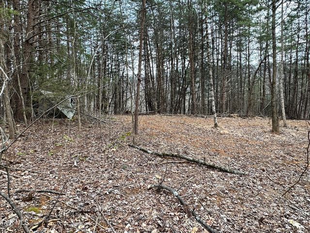 702 Speedwell Road, Bulls Gap, TN 37711