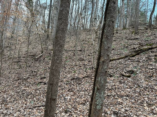 702 Speedwell Road, Bulls Gap, TN 37711