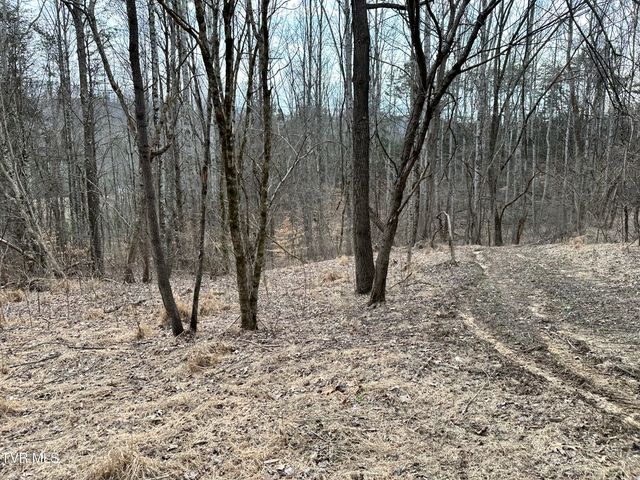 702 Speedwell Road, Bulls Gap, TN 37711