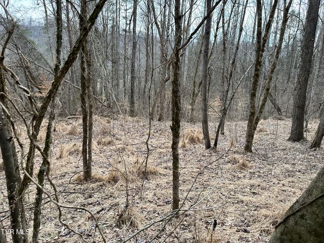 702 Speedwell Road, Bulls Gap, TN 37711