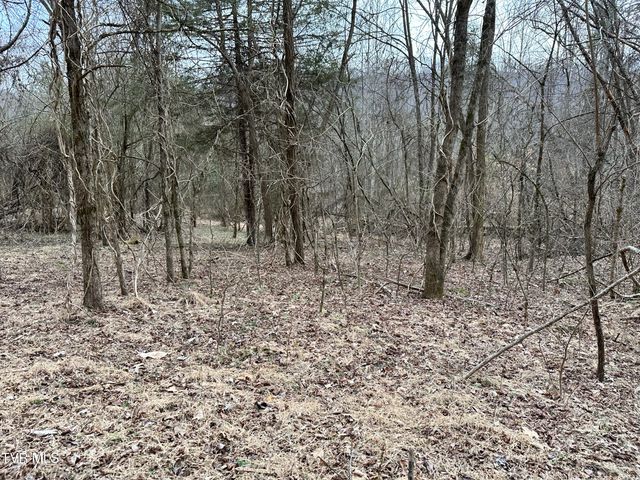 702 Speedwell Road, Bulls Gap, TN 37711