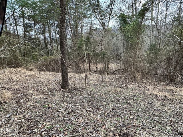 702 Speedwell Road, Bulls Gap, TN 37711