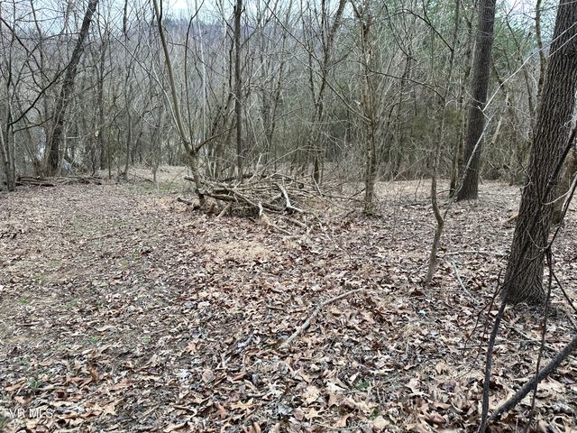 702 Speedwell Road, Bulls Gap, TN 37711