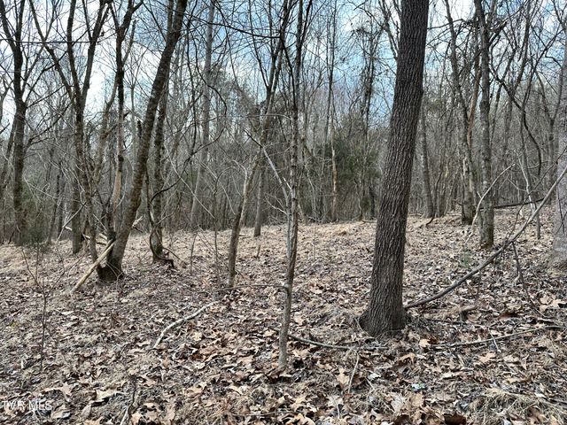 702 Speedwell Road, Bulls Gap, TN 37711