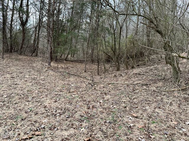 702 Speedwell Road, Bulls Gap, TN 37711