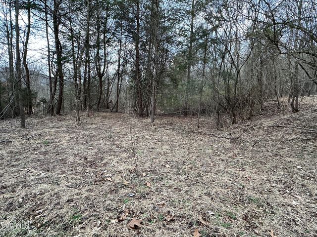 702 Speedwell Road, Bulls Gap, TN 37711