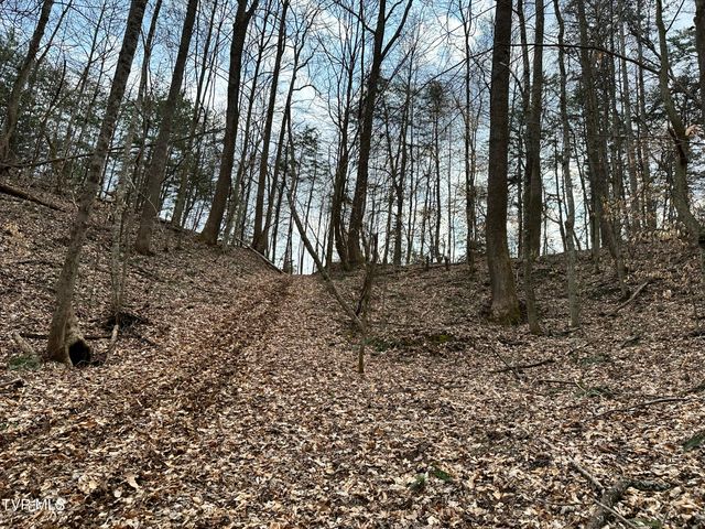 702 Speedwell Road, Bulls Gap, TN 37711